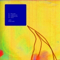 Pochette recto-verso : Birdy pitch !