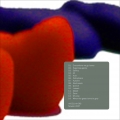 Pochette recto-verso : Instead of buying shoes