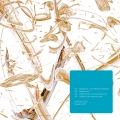 Pochette recto-verso : Unshock the monkey-the Mons project  