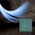 Pochette recto-verso : The fall