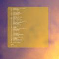 Pochette recto-verso : Free Fruits